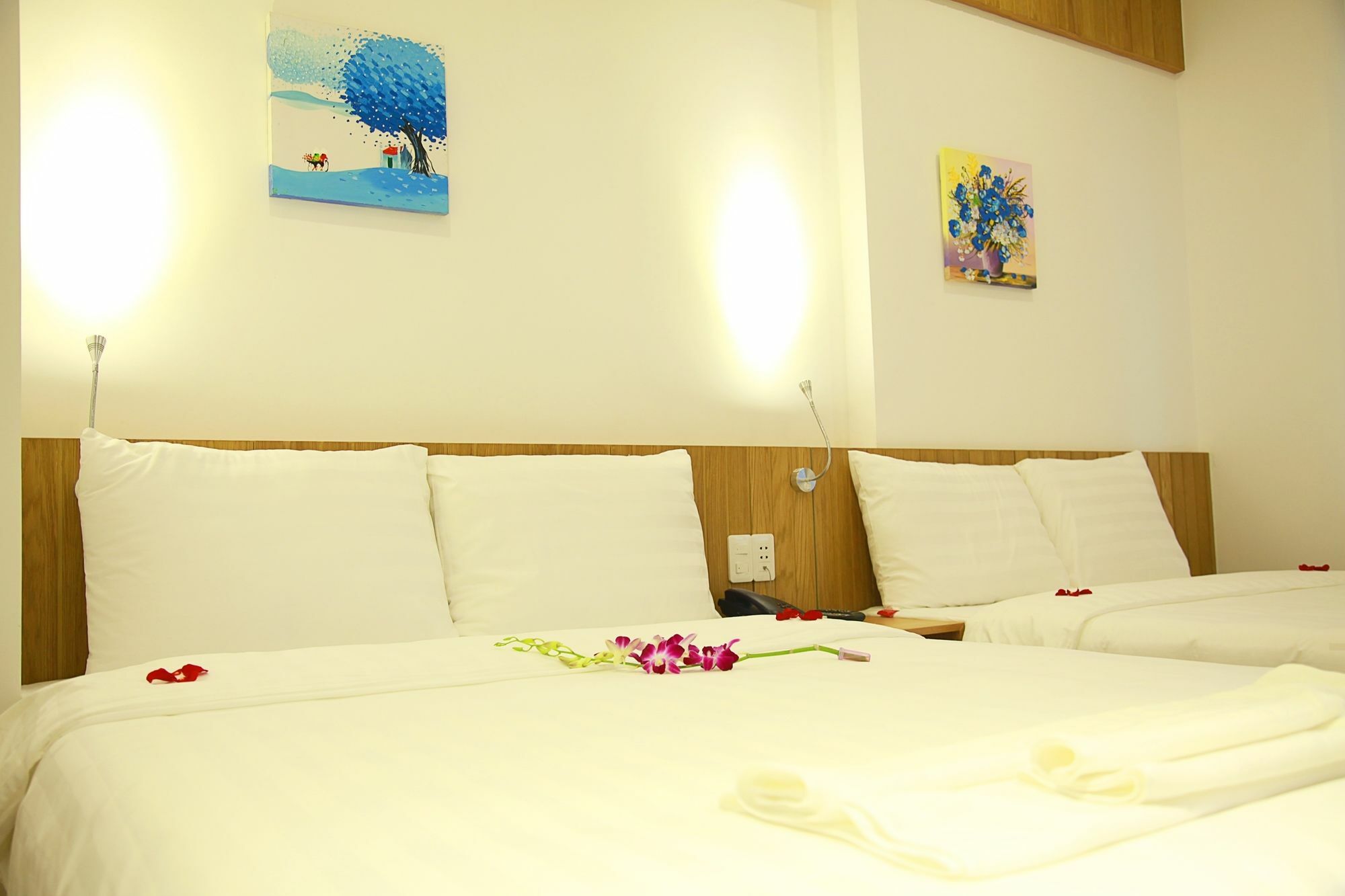 Meraki Hotel Da Nang Exterior photo